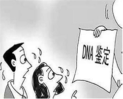 资阳匿名亲子鉴定收费情况，资阳匿名亲子鉴定办理流程